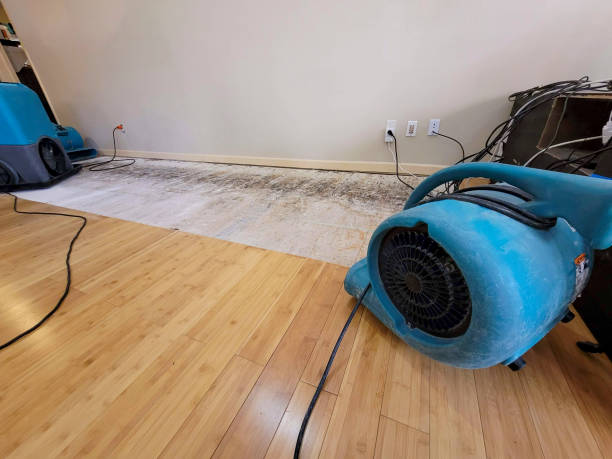 Professional Emergency Water Damage technician working in Nelson, MO